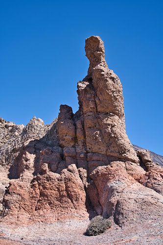 El Torrotito