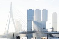 ochtendzon door de wolkenkrabbers van de Kop van Zuid in Rotterdam van Rick Keus thumbnail