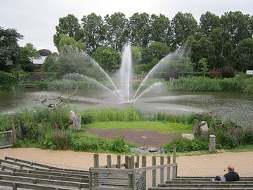 Fontein Avifauna 