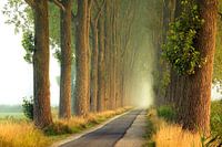 The road to infinity