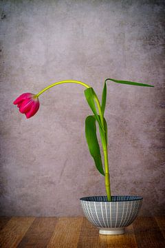 Dutch Ikebana 1. von Pieter van Roijen