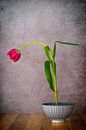 Dutch Ikebana 1. van Pieter van Roijen thumbnail