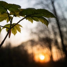 Kaoutar Tahiri photo de profil