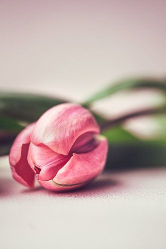 Natuurlijke schoonheid