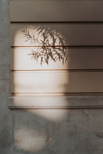 Travel photography | Italy, Puglia | Bari | shadow on the wall | pastel