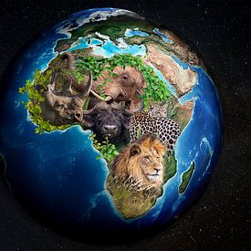 The big Five of the world by gea strucks