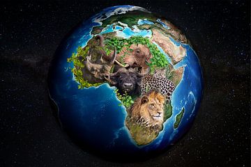 The big Five of the world