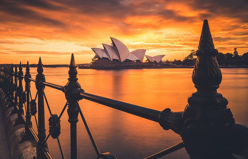 Sydney by Hello Pompoyo