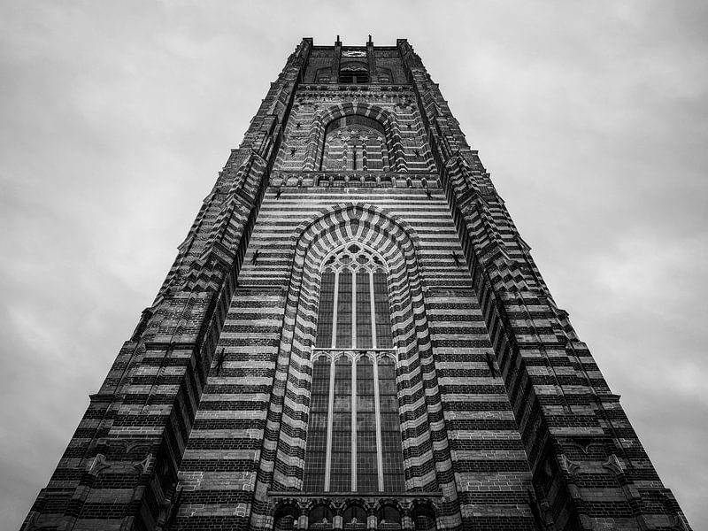 Basiliek in Oirschot van Maikel Brands