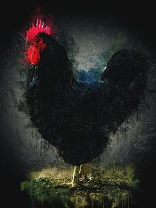 Black Rooster