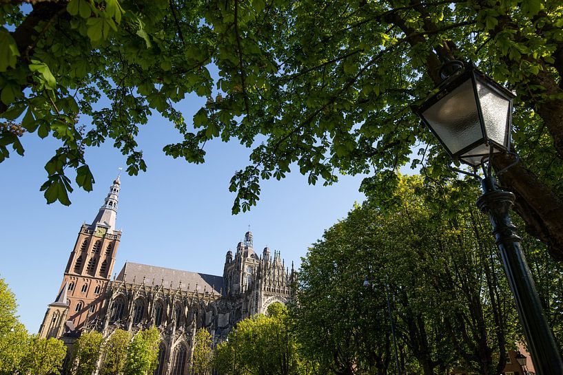 St. John's Cathedral 's-Hertogenbosch by Merijn Geurts