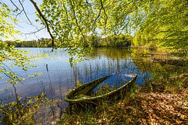 Bomen en een boot aan de Nebelsee in de lente in Lärz van Rico Ködder