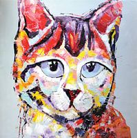 The stubborn cat
