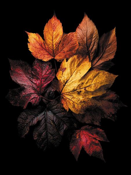 Autumn leaves van Ellen Novara-da Lima
