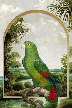 Parrot in Brazil by Marja van den Hurk
