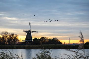 Mill Leonide surrounded by geese flying by during sunrise by Bram Lubbers