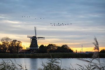 Mühle Leonide, umgeben von vorbeifliegenden Gänsen bei Sonnenaufgang von Bram Lubbers