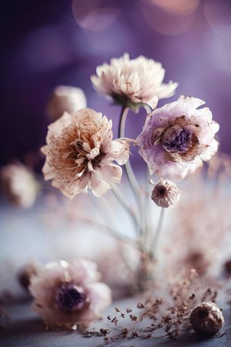 Fleurs sèches sur fond pourpre No 2