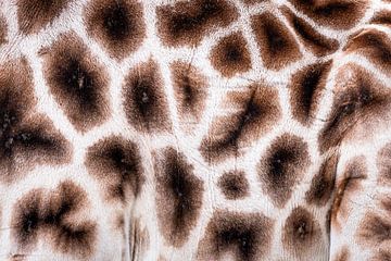 Vacht van een giraffe van KC Photography