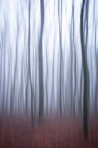 Abstrakter dunkler Wald mit Nebel - Langzeitbelichtung Naturfotografie von Christa Stroo photography