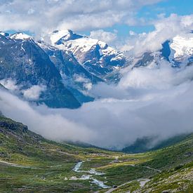 Berglandschap in Noorwegen van Harry Punter