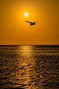 Sunset in Walvis Bay Namibia, Africa by Patrick Groß thumbnail