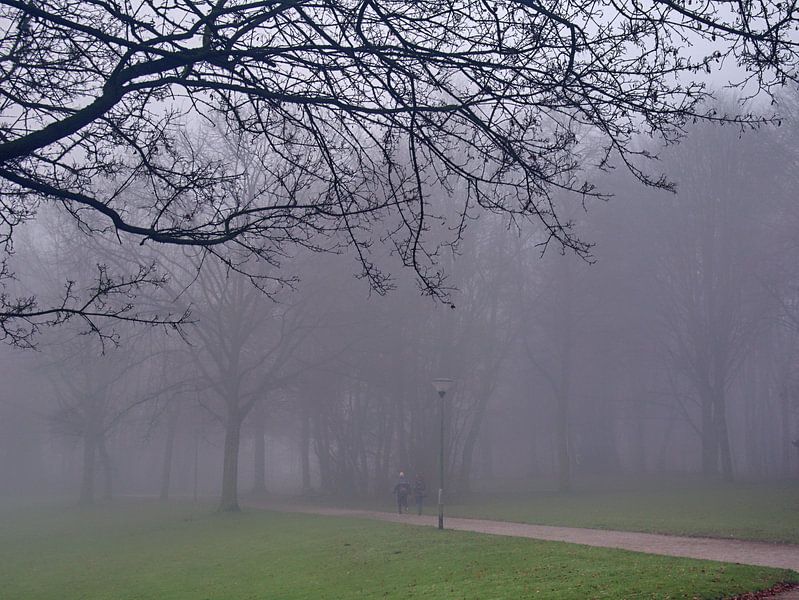 Mist 7 van Edgar Schermaul