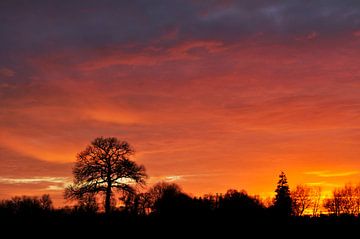 Orange evening sky by Corinne Welp