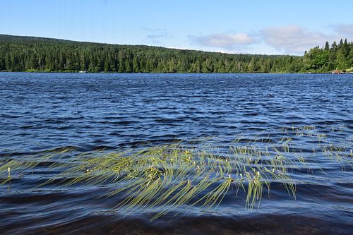 Het blauwe water van het meer op een zomerochtend