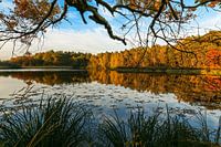Un lac aux couleurs de l'automne