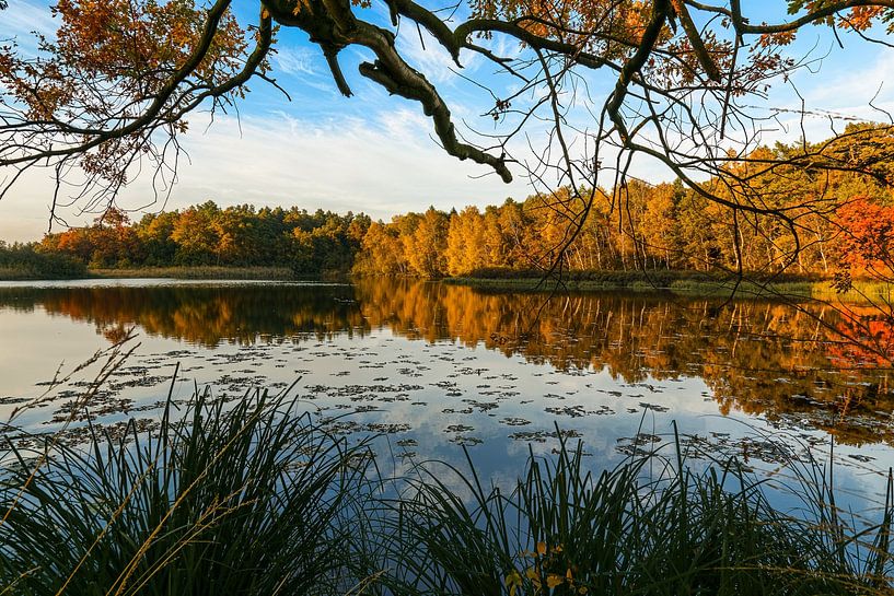 Un lac aux couleurs de l'automne par Julian Buijzen
