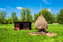 Heuschober im Spreewald bei Lehde von Rico Ködder