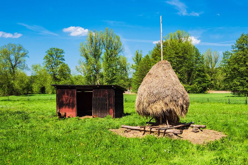 Hay stack in the Spreewald area near Luebbenau, Germany van Rico Ködder