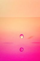 Colorful Life II