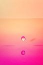 Colorful Life II van Peter en Hetty van Veen thumbnail