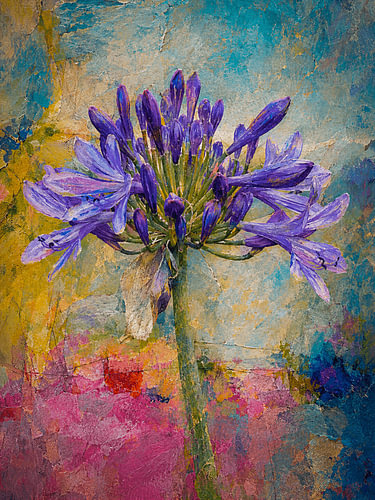 Botanische Mixed-Media-Kunst: Afrikanische Lilie auf farbenfrohen Texturen