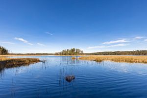 aufatmen am See , Saal opgelucht adem bij het meer