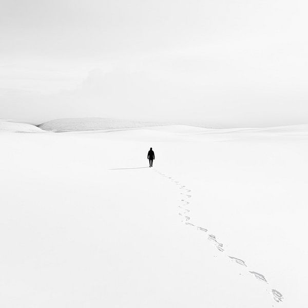 Lonely steps in the white snow by Poster Art Shop