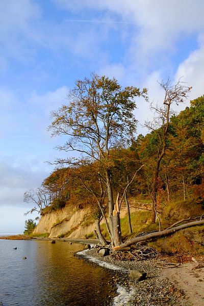 Bodden coast by Ostsee Bilder