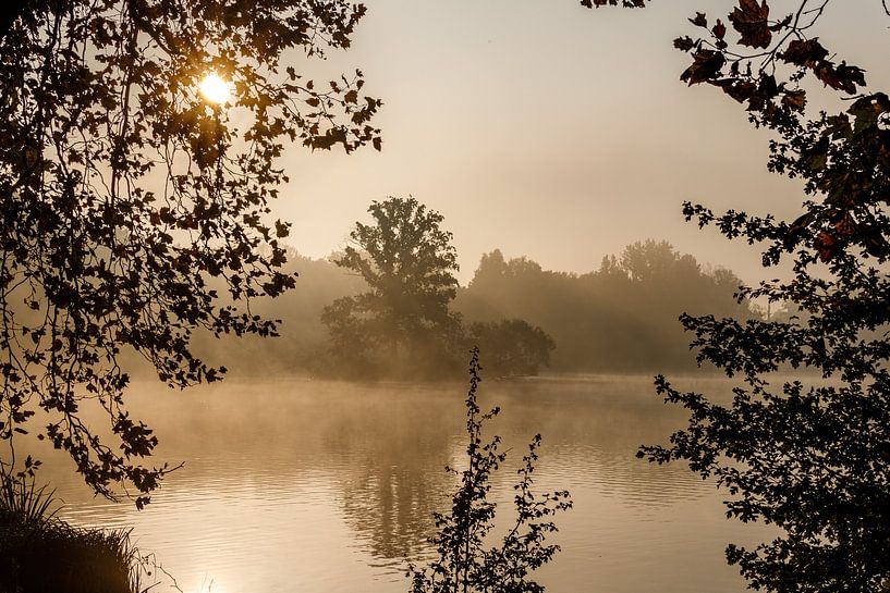 zwischendurch von Johan Lissens Photography