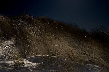Das Geheimnis der Dünen Serie 3 von 4 von Lynlabiephotography