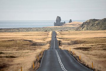 De weg naar Arnastapi in IJsland van Judith van Wijk