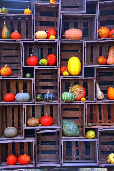 Étagère de citrouilles par Edgar Schermaul