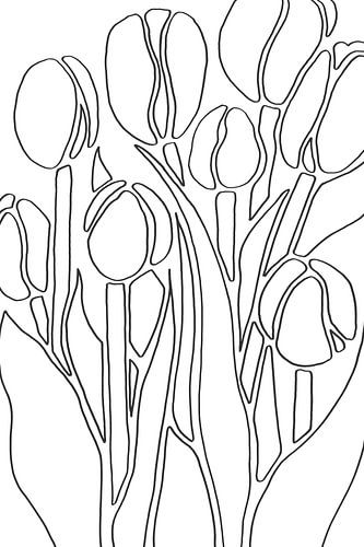 Line drawing bunch of tulips (abstract line drawing Netherlands flowers tulip field bulbs black and 