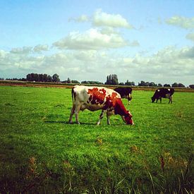 Sam Quincy Profilfoto