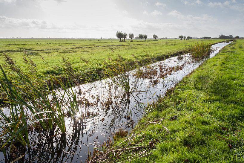 Weiland met sloot nabij Gouda in Nederland van Joost Adriaanse