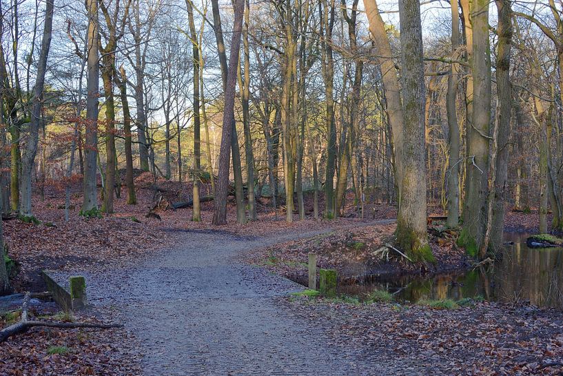 A concrete bridge over a Forest stream by Gerard de Zwaan