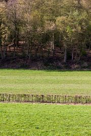 heuvelland2
