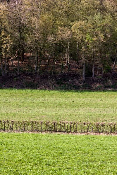 heuvelland2 by Arno Photo