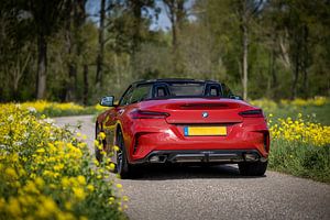 BMW Z4 M40i in het voorjaar
